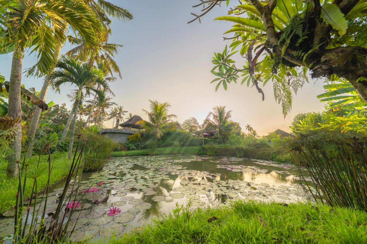 Uma Dawa Resort And Spa Ubud Kültér fotó